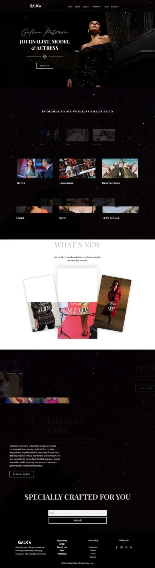 Build a professional website